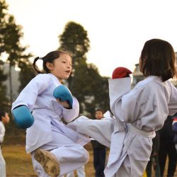 bullying, discipline